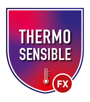 Transferts pour marquage textile Thermosensible. 50 OFFERT pour les essayer